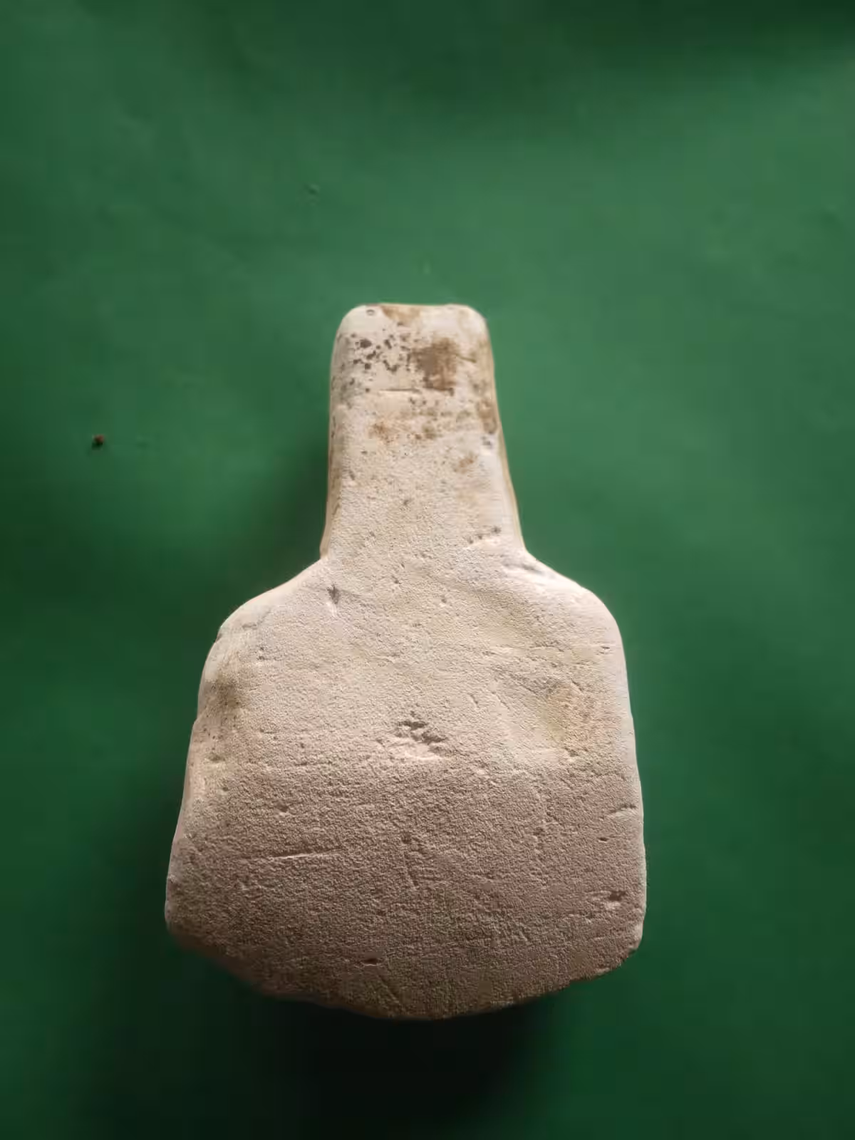 Lưỡi tầm sét
